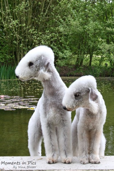 2010-05-01 Svet und Aveline (20).JPG